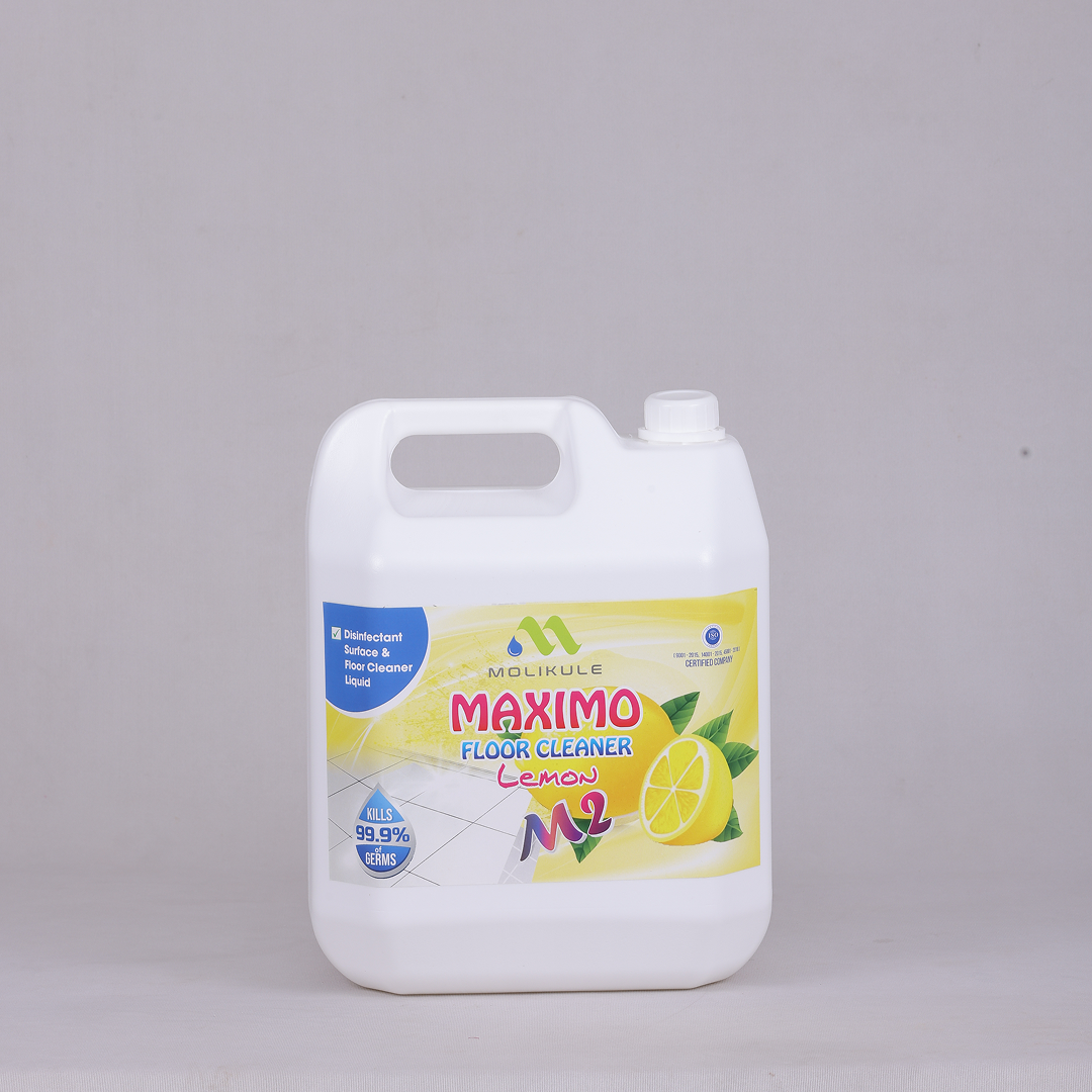 Maximo Lavender M2